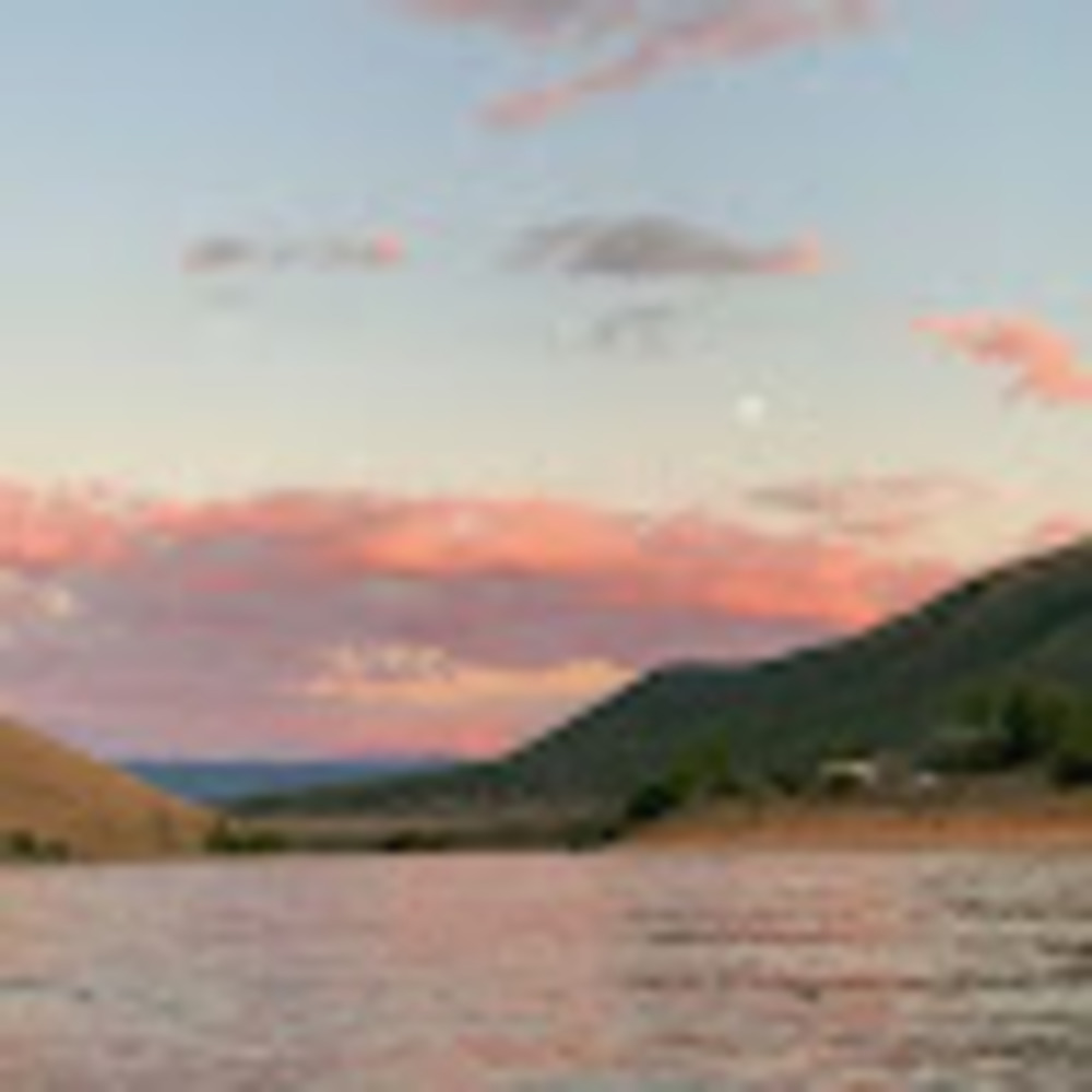 Meet your Posher, Viola